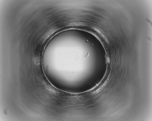 X0000094221017200710261226