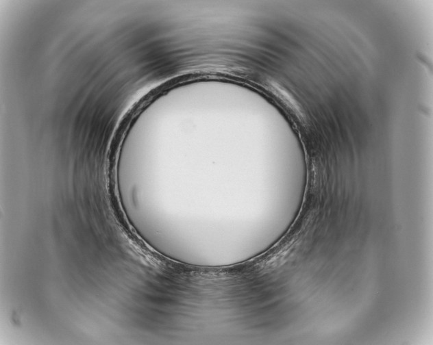 X0000094221020200710261226