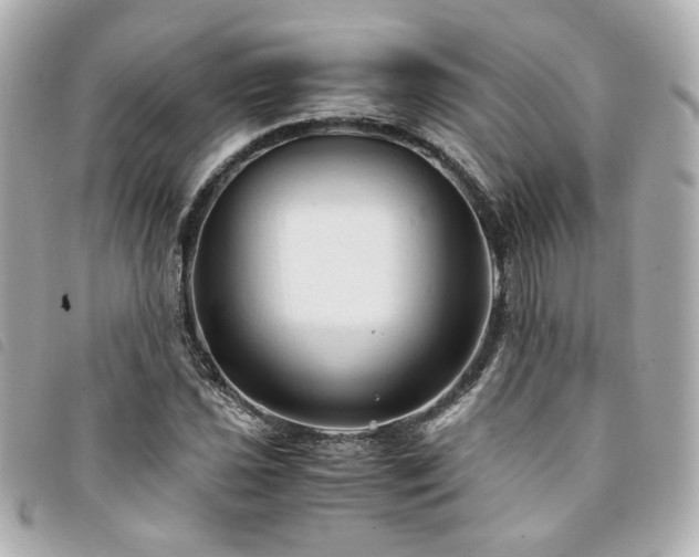 X0000094221021200710261226