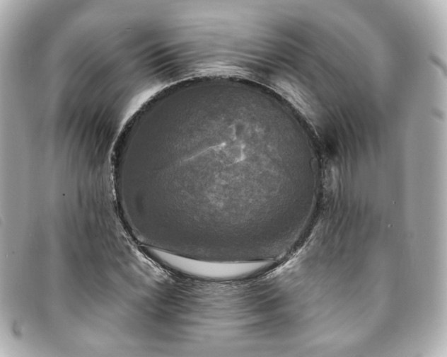 X0000094221022200710261226
