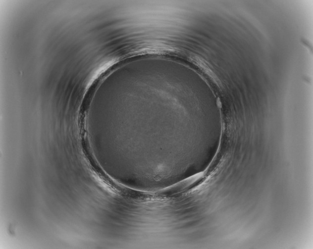 X0000094221026200710261226