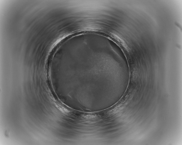 X0000094221027200710261226
