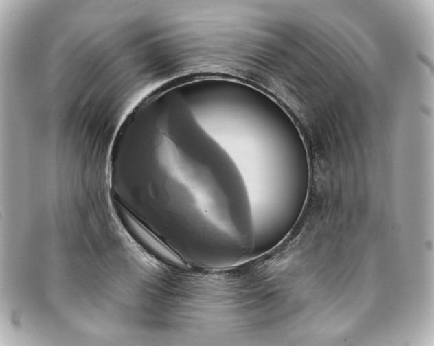 X0000094221028200710261226
