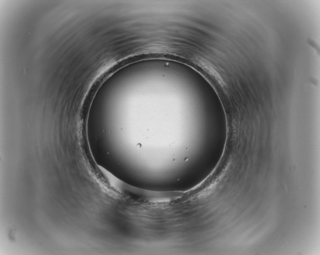 X0000094221029200710261226