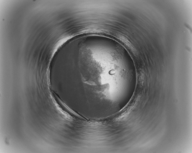 X0000094221030200710261226
