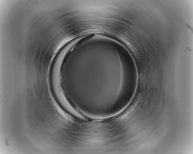 X0000094221034200710261226