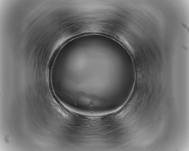 X0000094221035200710261226