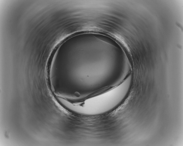 X0000094221037200710261226