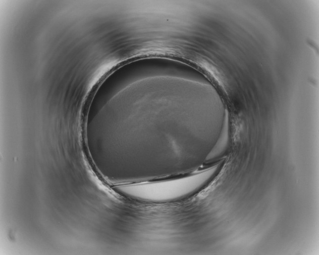 X0000094221038200710261226