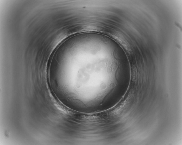 X0000094221039200710261226