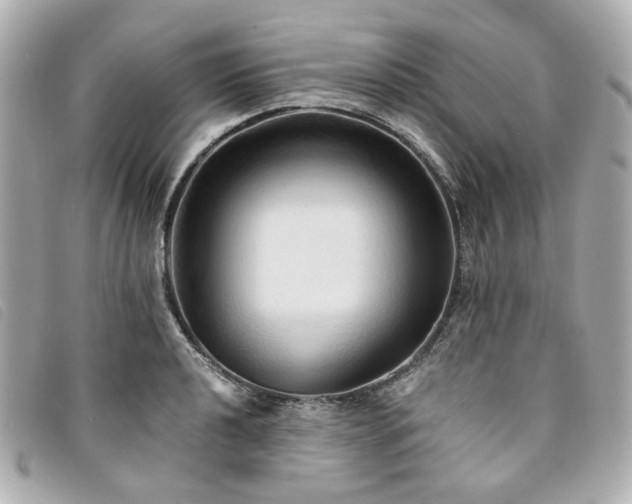 X0000094221040200710261226
