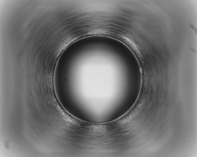 X0000094221041200710261226