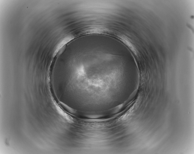 X0000094221042200710261226