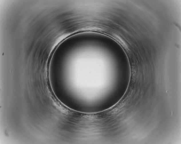 X0000094221044200710261226