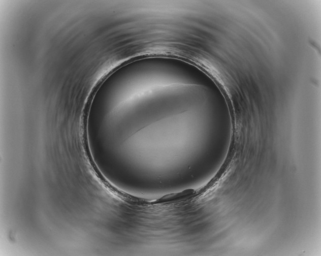 X0000094221045200710261226