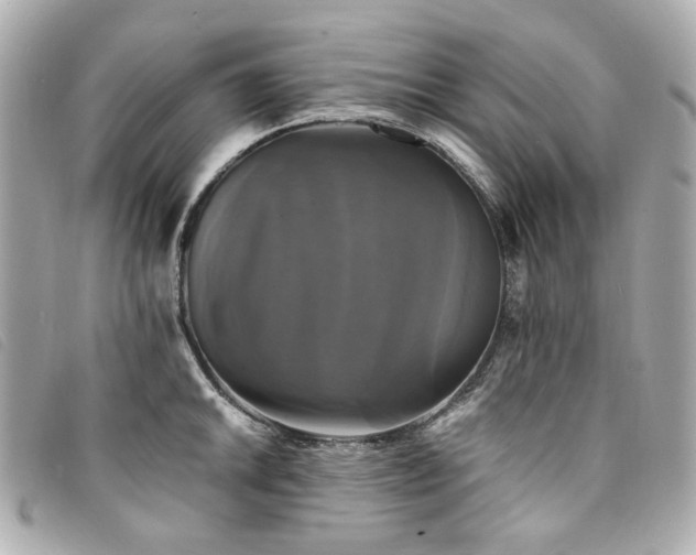 X0000094221046200710261226