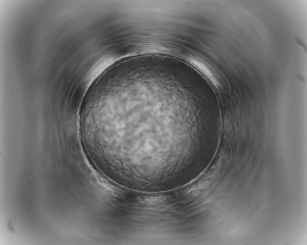 X0000094221047200710261226