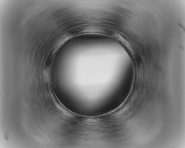 X0000094221049200710261226