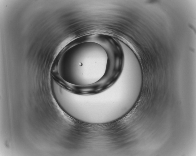 X0000094221050200710261226