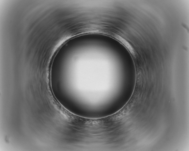 X0000094221051200710261226