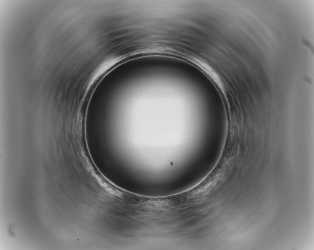 X0000094221053200710261226