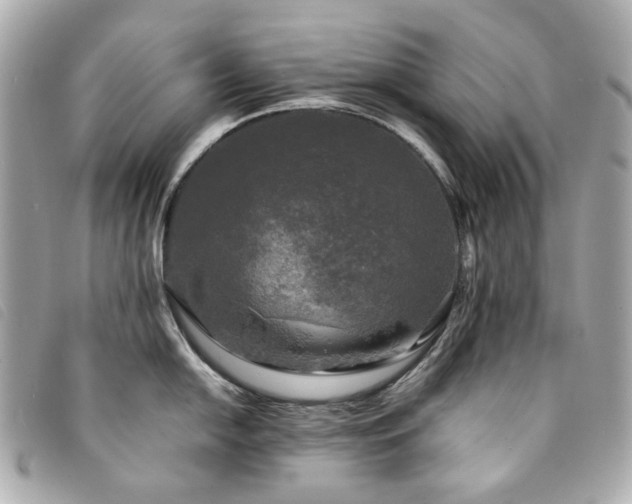 X0000094221054200710261226