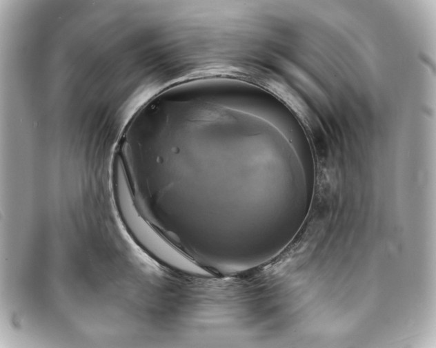 X0000094221055200710261226