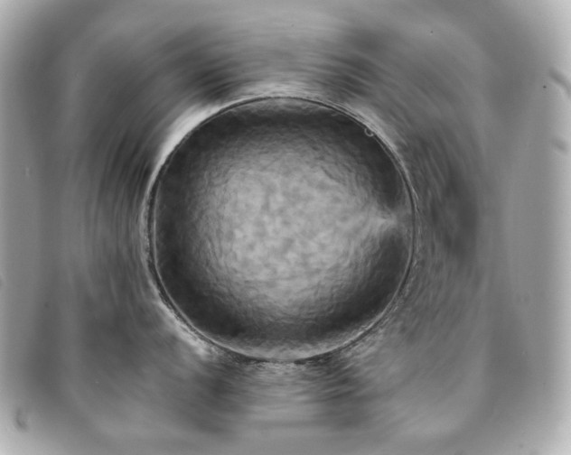 X0000094221056200710261226