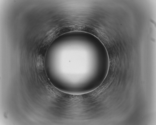 X0000094221058200710261226