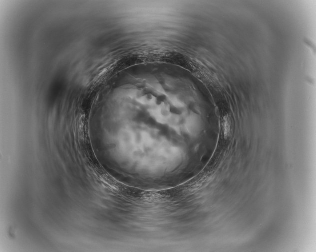 X0000094221059200710261226