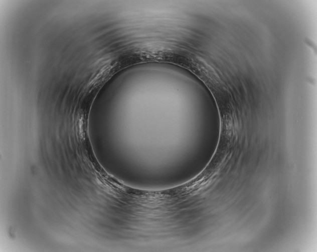 X0000094221060200710261226