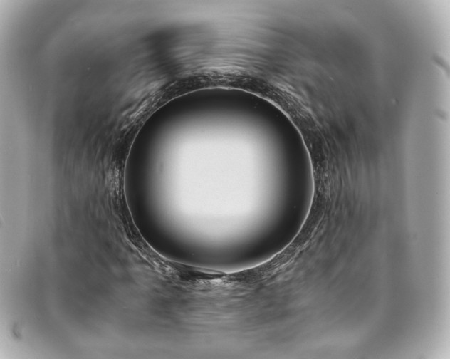 X0000094221061200710261225