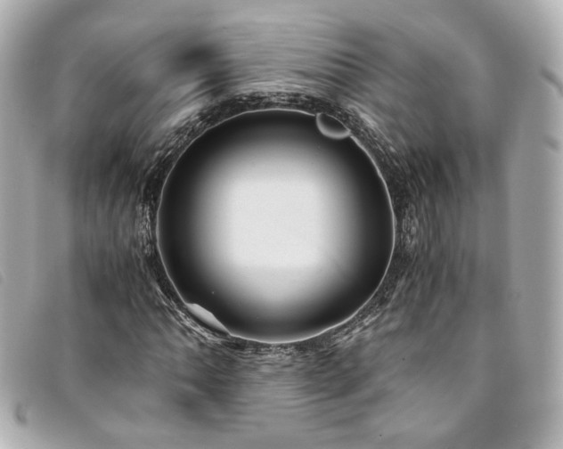 X0000094221062200710261225