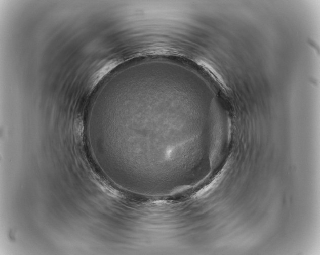 X0000094221065200710261225