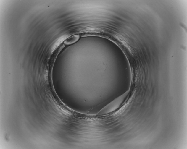X0000094221066200710261225