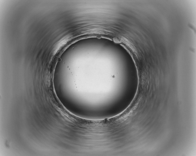 X0000094221067200710261225