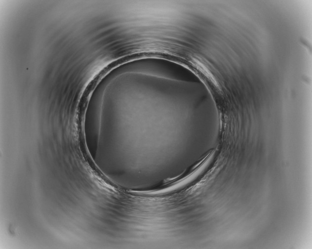 X0000094221068200710261225
