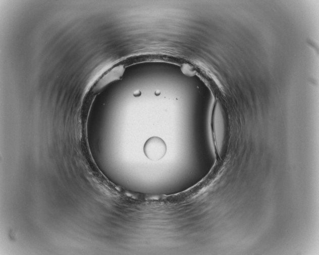 X0000094221069200710261225