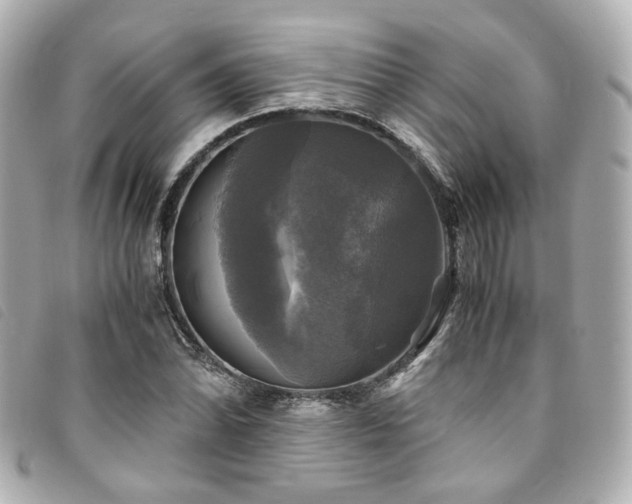 X0000094221070200710261225
