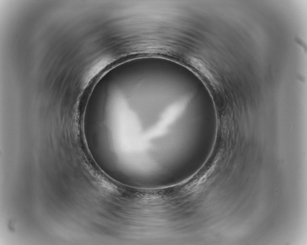 X0000094221071200710261225
