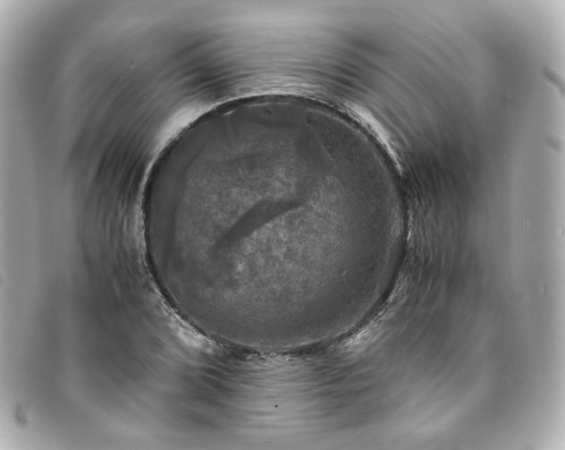 X0000094221072200710261225