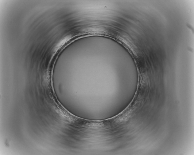 X0000094221074200710261225