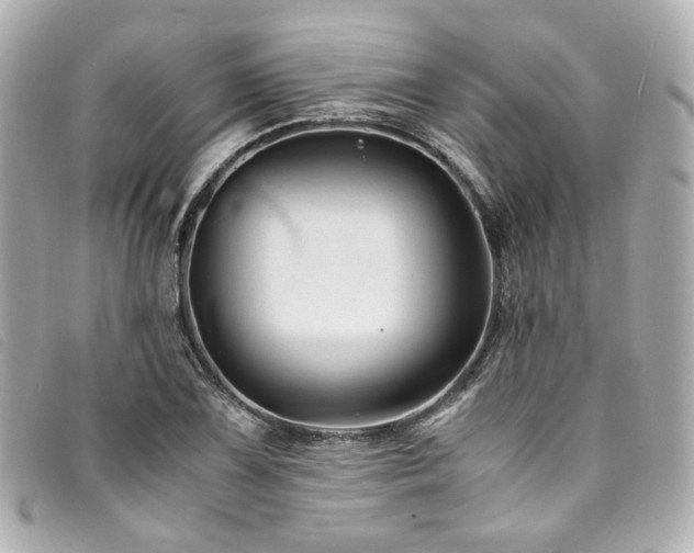 X0000094221075200710261225