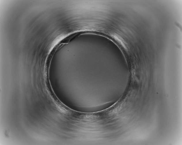 X0000094221077200710261225