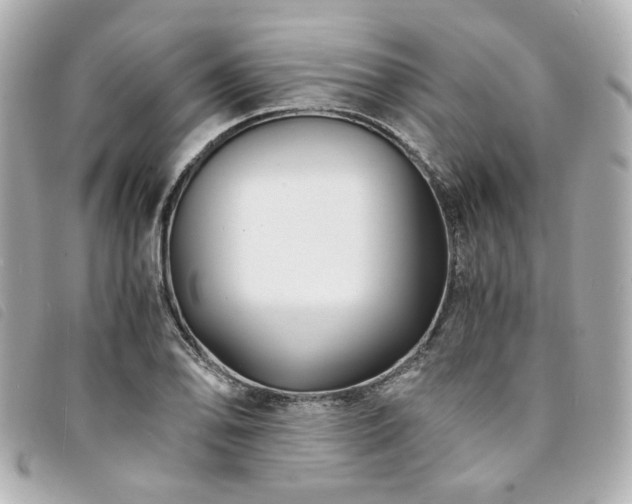X0000094221078200710261225