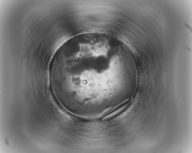X0000094221079200710261225