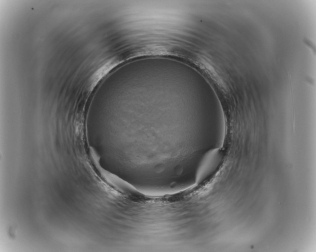 X0000094221081200710261225