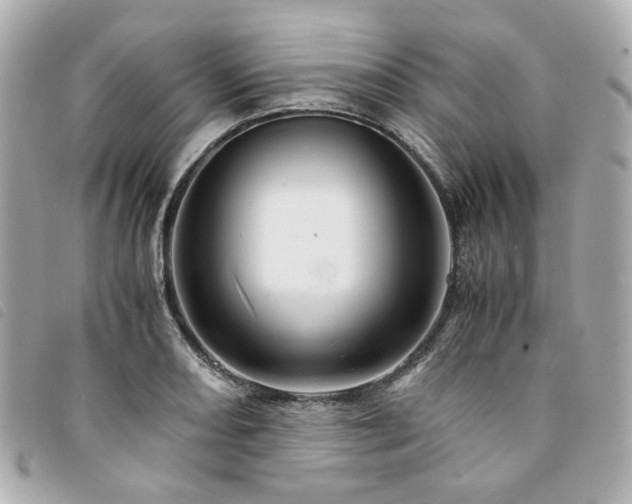 X0000094221082200710261225