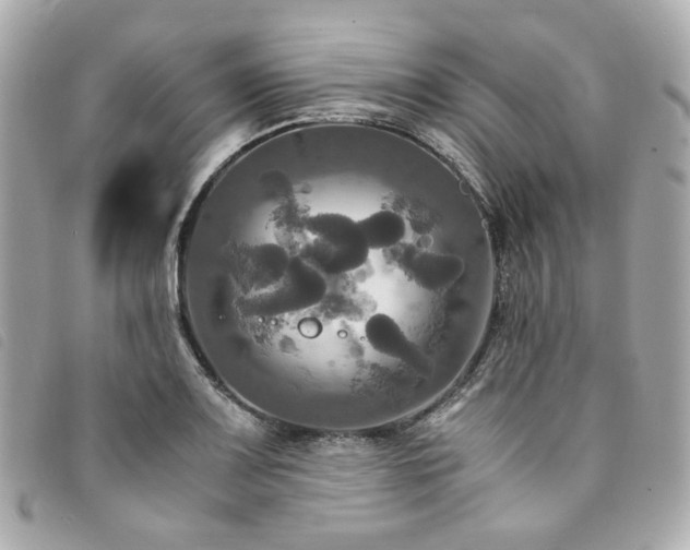 X0000094221083200710261225