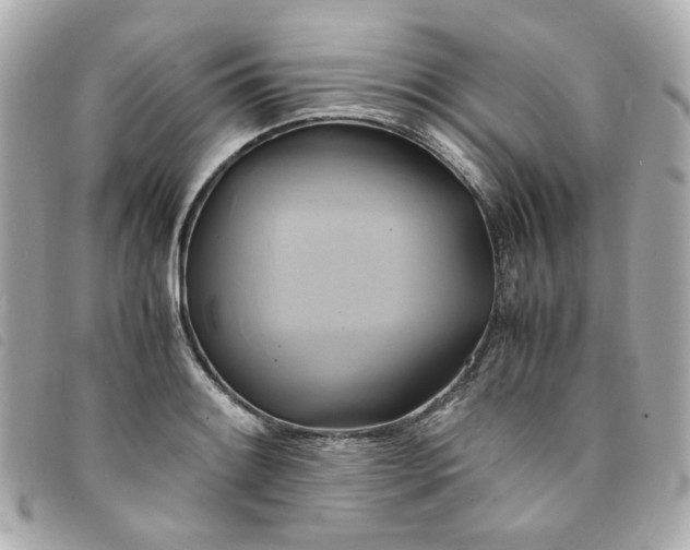 X0000094221084200710261225